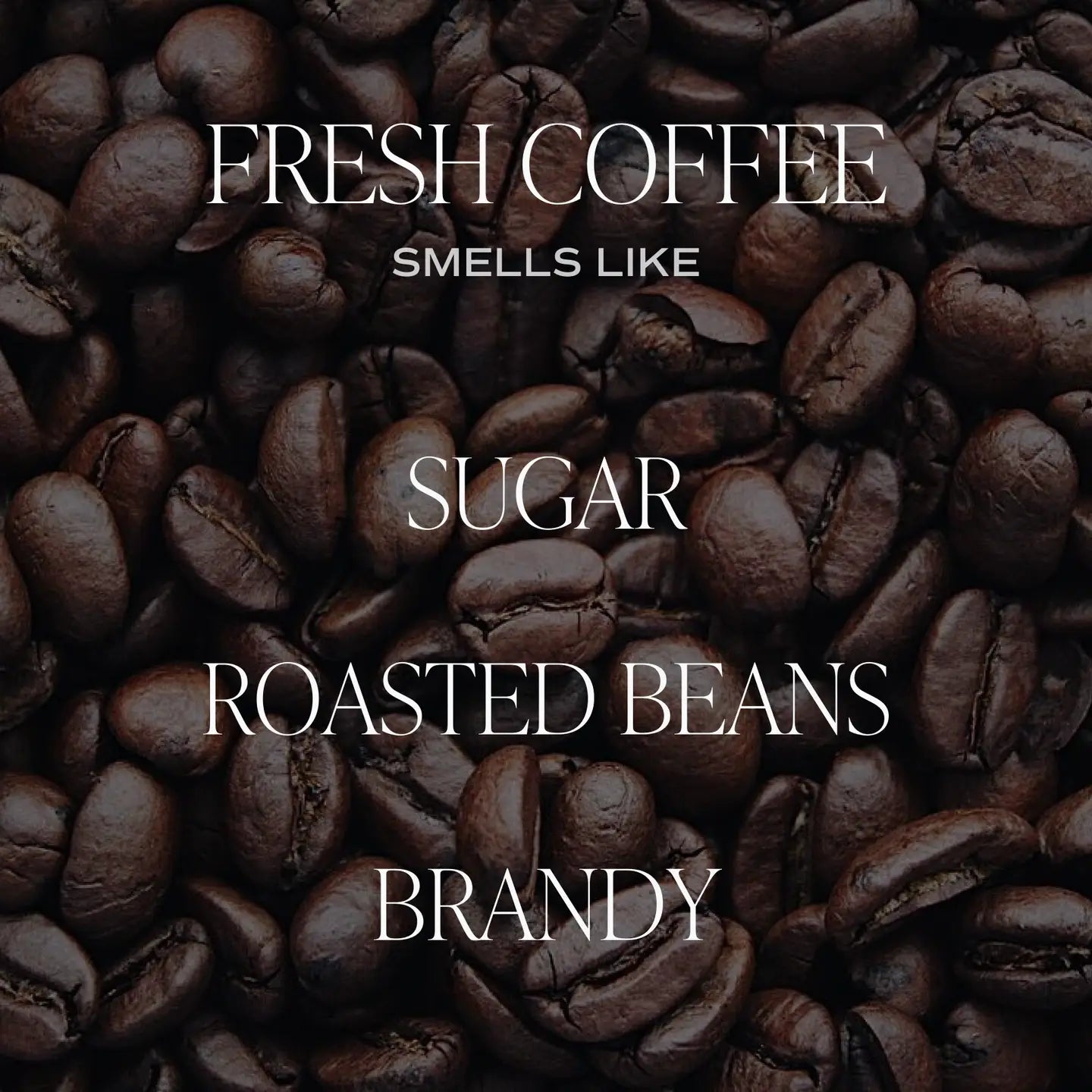 Fresh Coffee 9 oz. Soy Candle