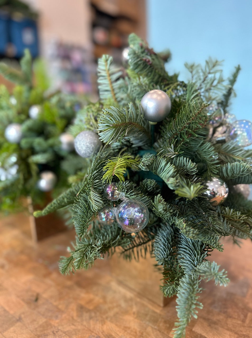 Mini Tree Arrangement