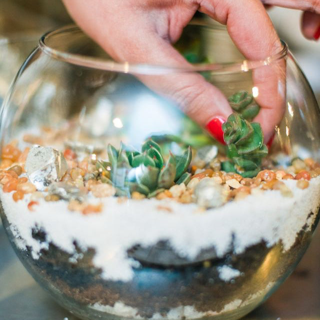 Terrarium with small plants and decorative stones, held by a hand.