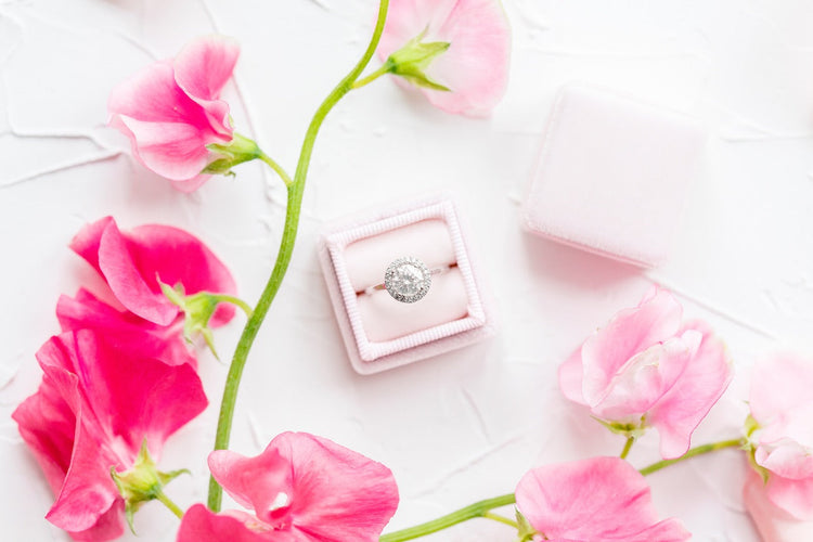 Engagement / Wedding