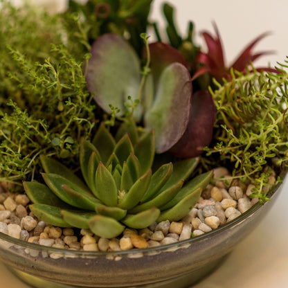 April 21 - Succulent Garden Flower Arranging Class