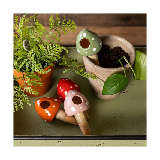Mushroom Watering Picks