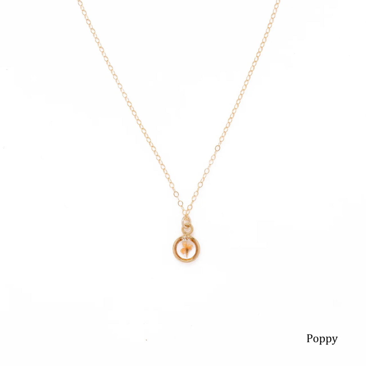 Gold necklace with a small round pendant with a dried poppy flower inside on a white background.