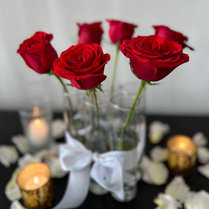 Red rose "six pack"