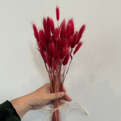 Cerise bunny tails