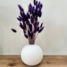 Load image into Gallery viewer, Purple bunny tails in coco pot
