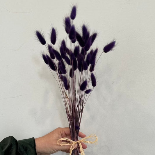 Deep purple bunny tails
