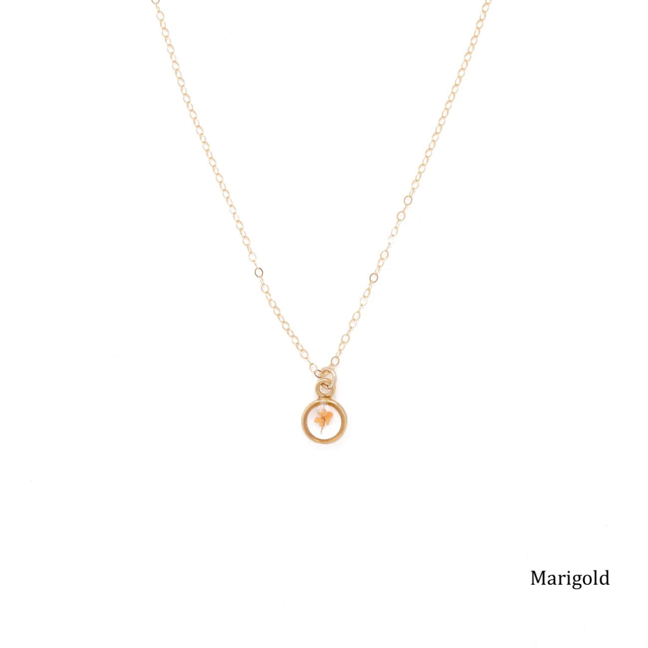 Gold necklace with a small pendant with a dried marigold inside.