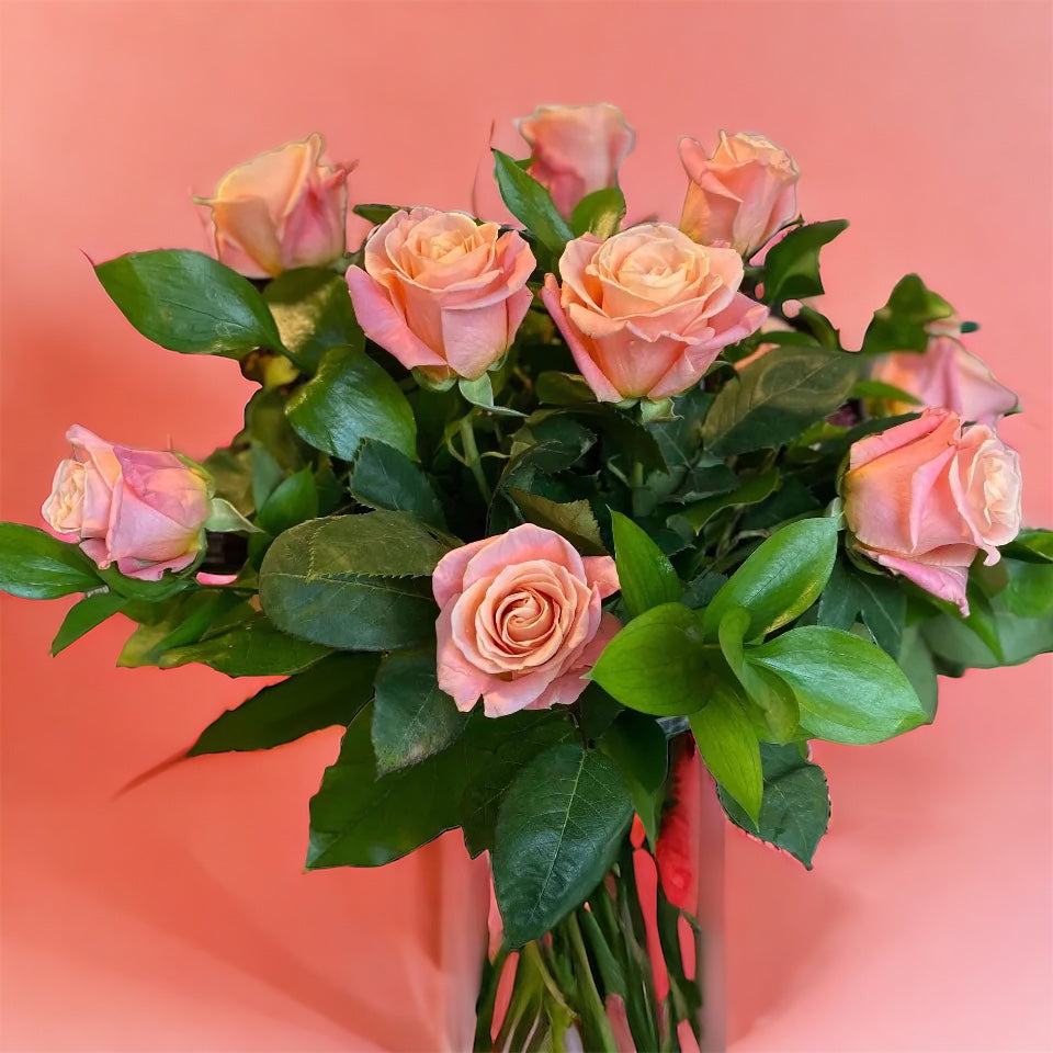 One dozen roses in a vase