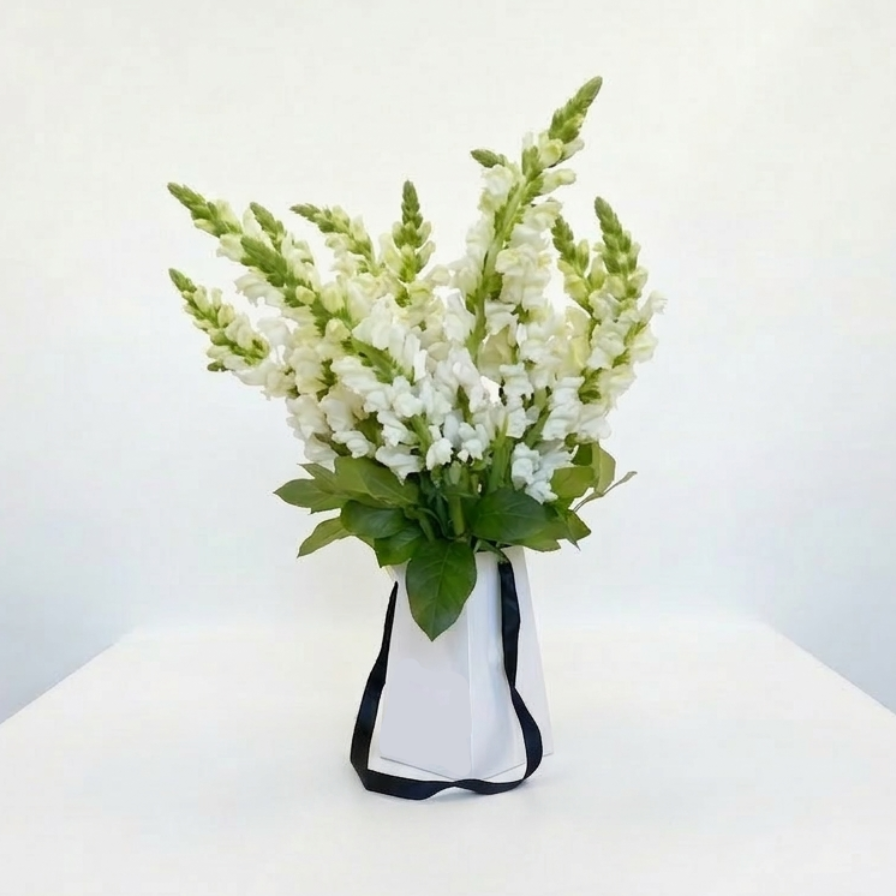 Bouquet of white and green flowers in a white vase on a white surface with a light gray background