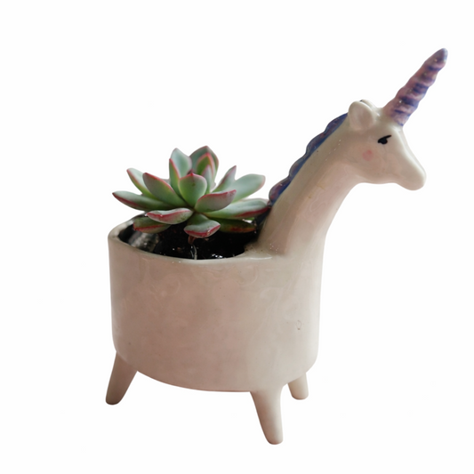 Unicorn-shaped planter with a succulent on a white background