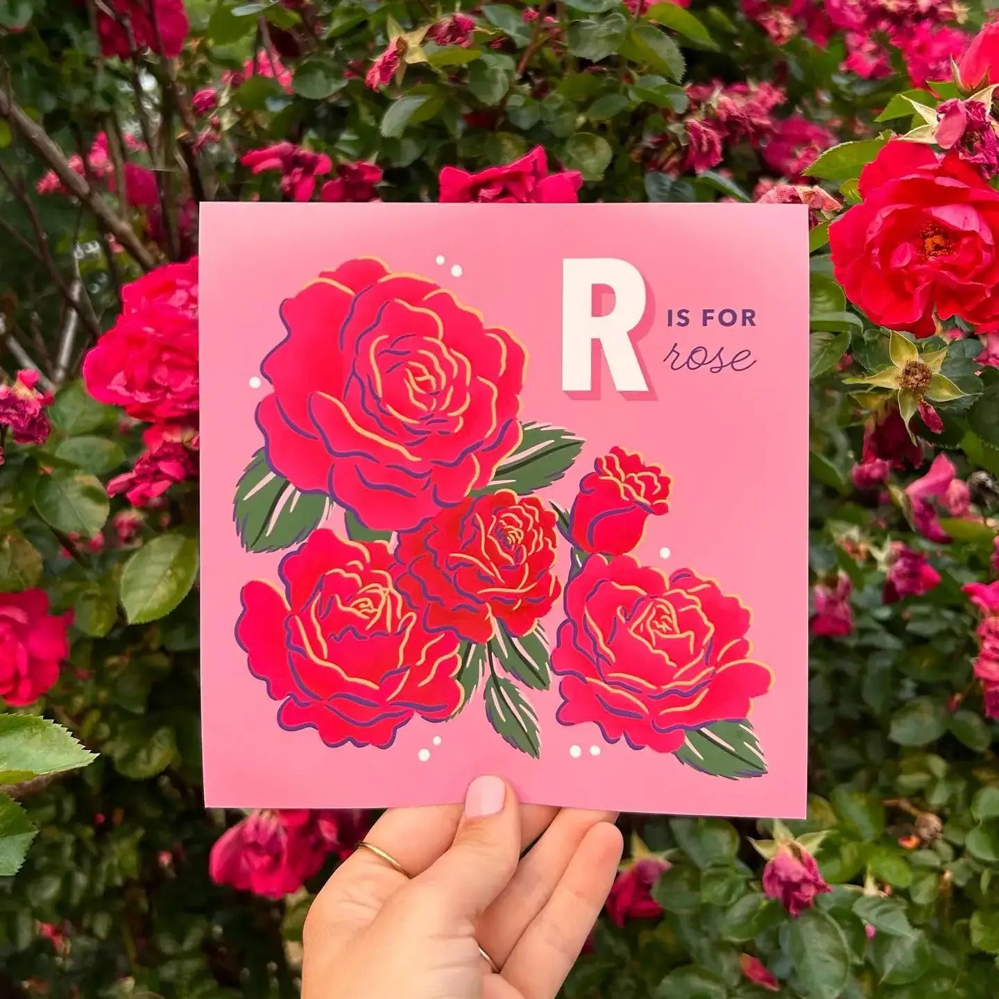 Alphabet in Bloom