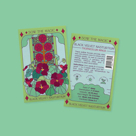 Black velvet nasturtium seed packet tarot card