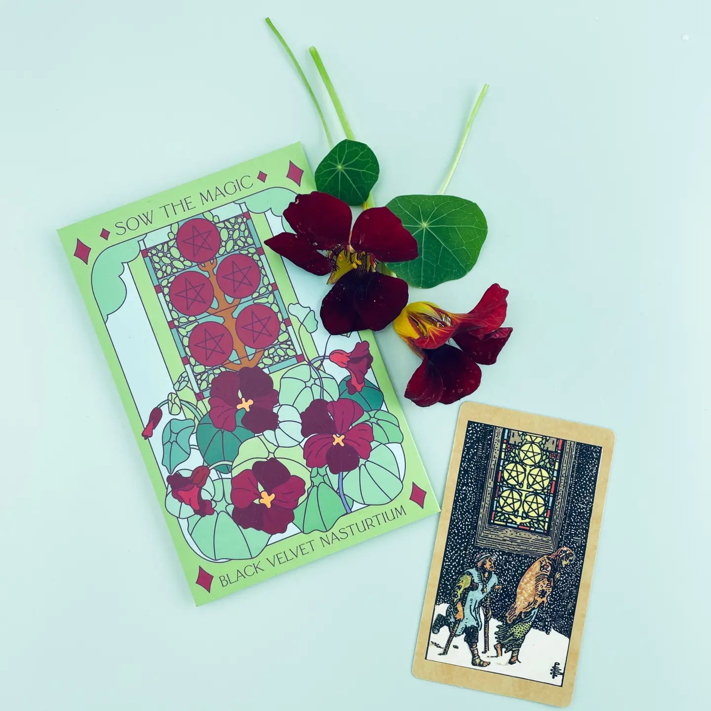 Black Velvet nasturtium tarot seed packet