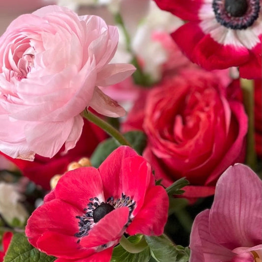 Bouquet of flowers including pink and red anemones with a blurred background