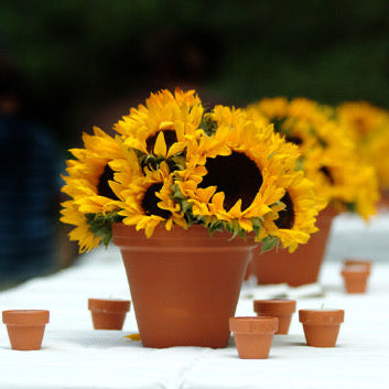 Jul 14 - Sunflowers! Flower Arranging Class
