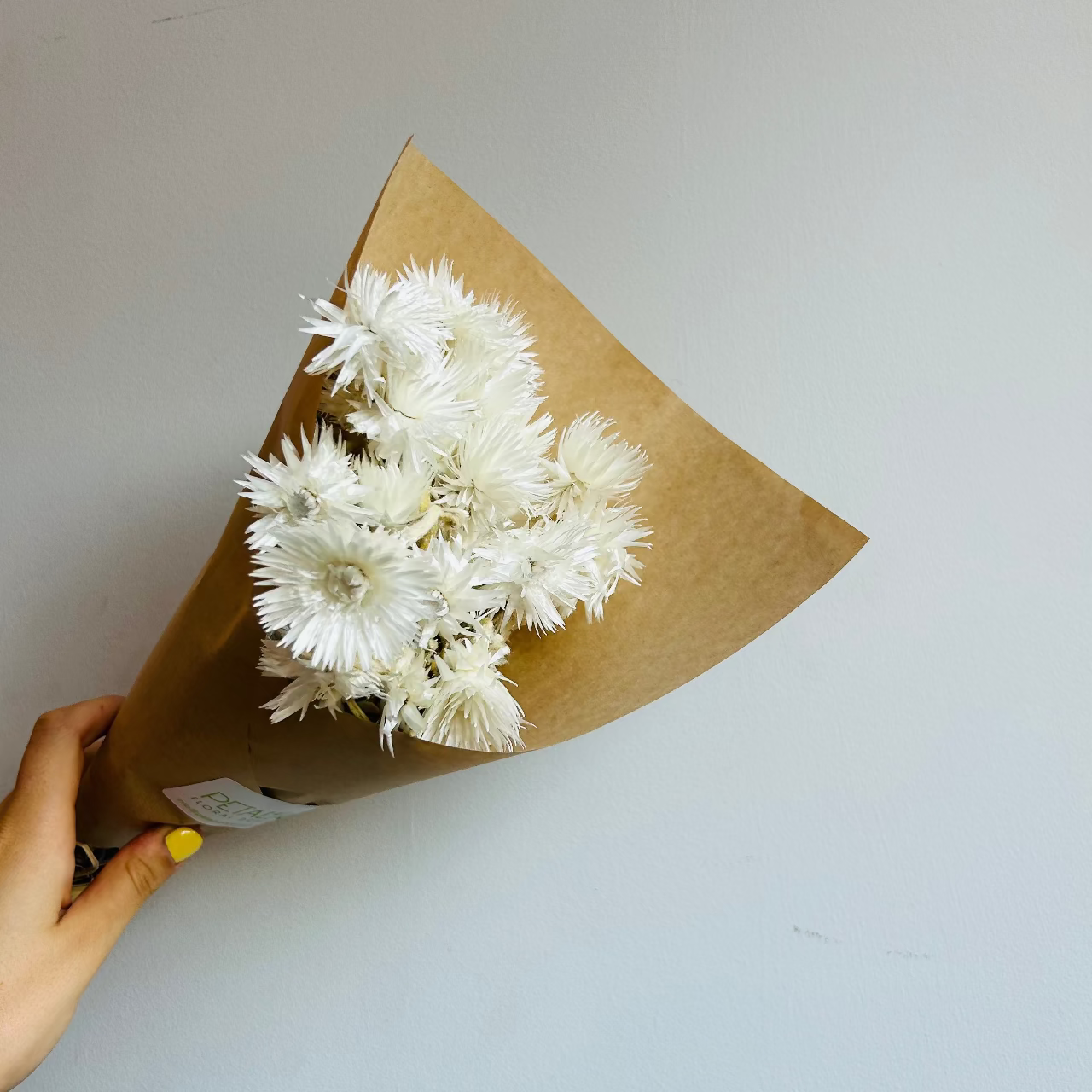 Bouquet of white flowers wrapped in brown paper held by a hand on a light gray background