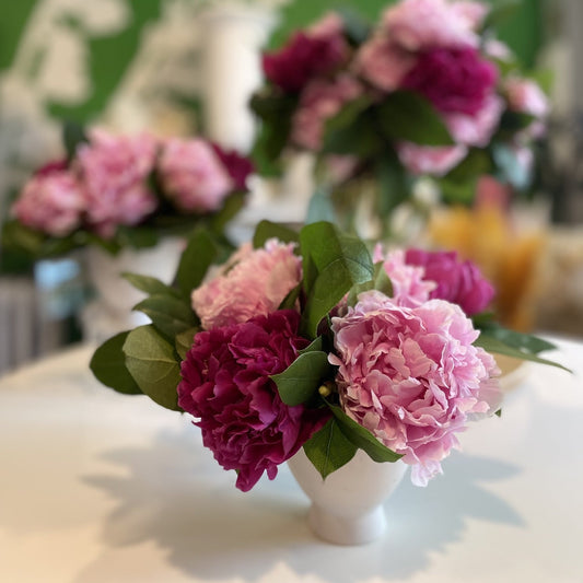 Pink and fuchsia peonies opened to perfection