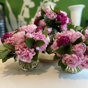 Mother of Pearl - 25 Peonies