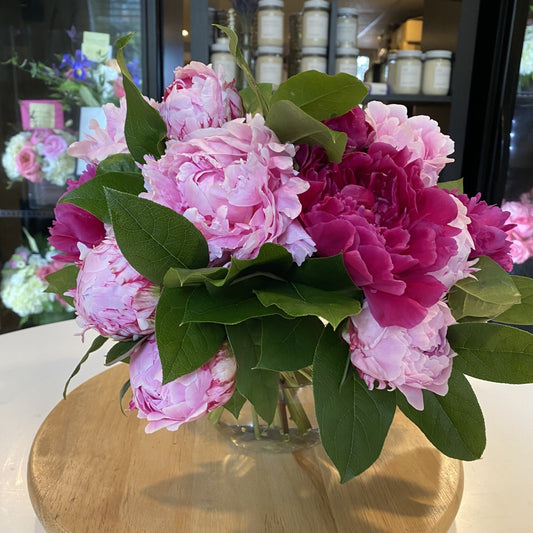 Mother of Pearl - 25 Peonies