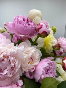 Peonies in pink and white