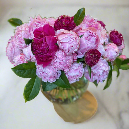 Pink and fuchsia peonies