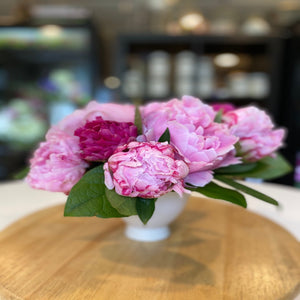 Coquette - 10 Peonies