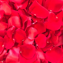 Load image into Gallery viewer, red rose petals
