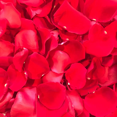 red rose petals