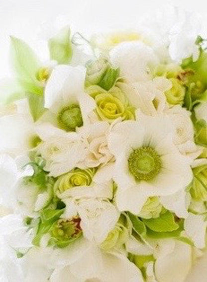 6 month floral subscription