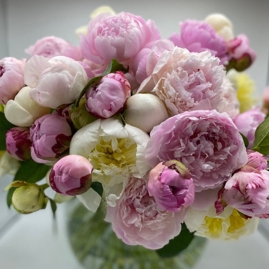 Pink and white peonies in a glass bubble bowl